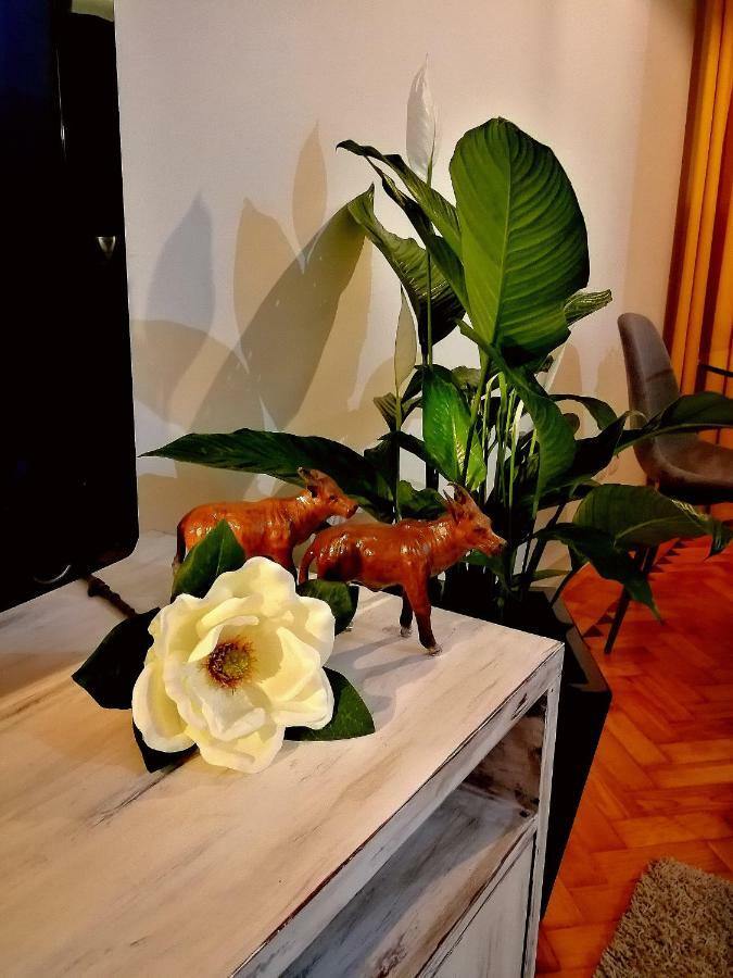 The Sunset Lisbon Flat Apartment Luaran gambar